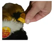 Vorschaubild 2 von Swinny Meerschweinchen Plüschtier mit Knopf im Ohr mehrfarbig