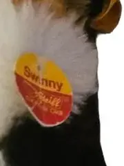 Vorschaubild 3 von Swinny Meerschweinchen Plüschtier mit Knopf im Ohr mehrfarbig