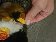 Vorschaubild 5 von Swinny Meerschweinchen Plüschtier mit Knopf im Ohr mehrfarbig