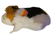 Vorschaubild 1 von Swinny Meerschweinchen Plüschtier mit Knopf im Ohr mehrfarbig