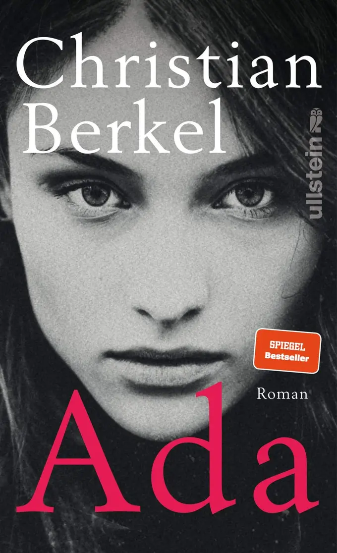 Gesellschaftsroman Bild 1