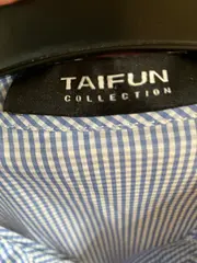 Vorschaubild 2 von TAIFUN Damen Hemdbluse Gr. 42/XL Blau Weiß Kariert Langarm Baumwolle