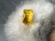 Vorschaubild 4 von Molly Koala Baby Kuscheltier Plüschtier Grau 24cm