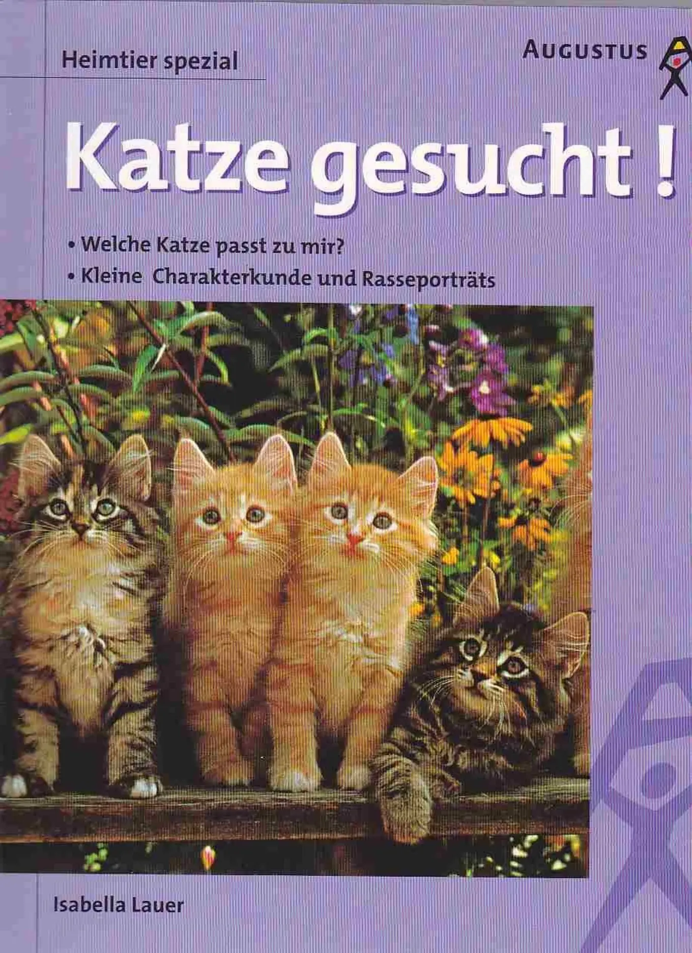Katze gesucht! Isabella Lauer Kinderbuch Ratgeber Augustus Taschenbuch