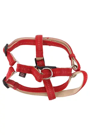 MARKENLOS Hundegeschirr