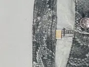 Vorschaubild 3 von Damen Jeans Skinny Fit US 6 / DE 38 Grau Schlangenmuster High Waist