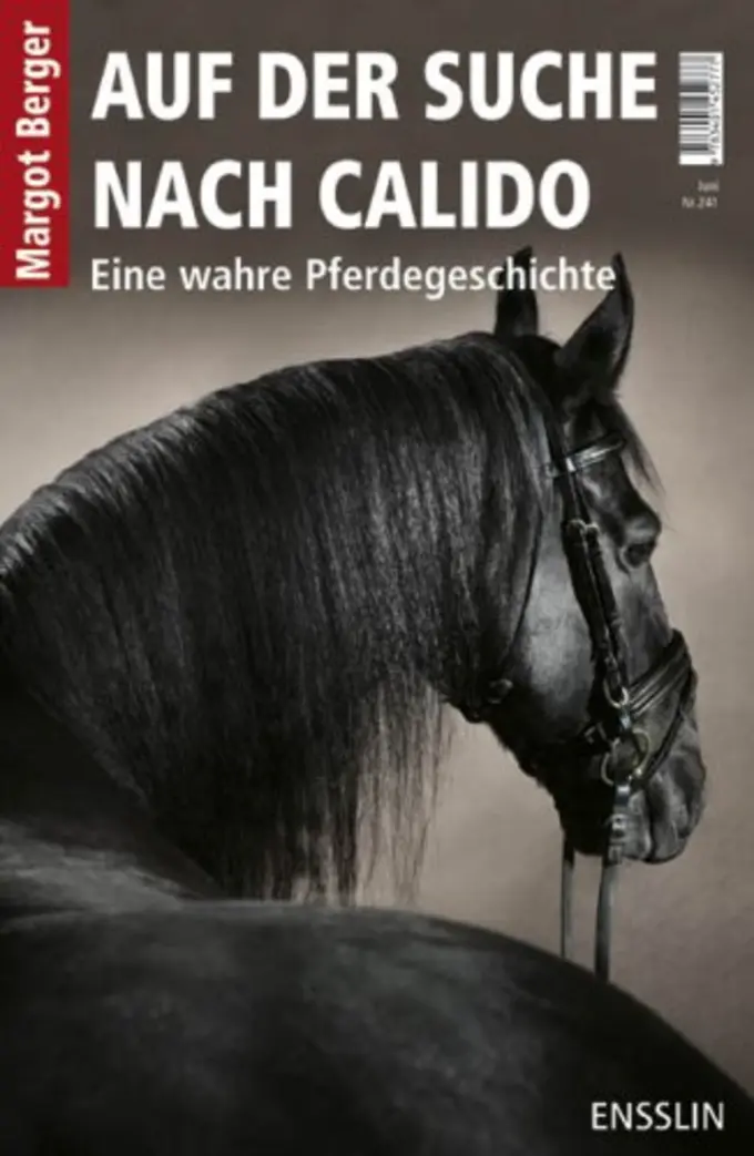 Buch für Jugendliche Bild 1