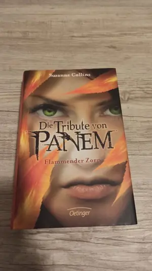 Science-Fiction Roman