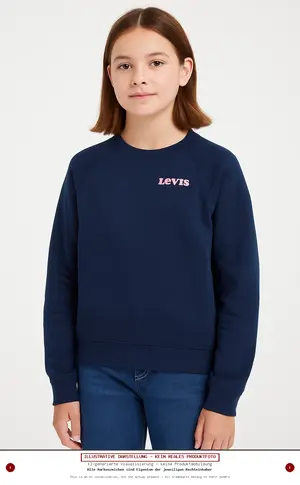 LEVI'S Pullover