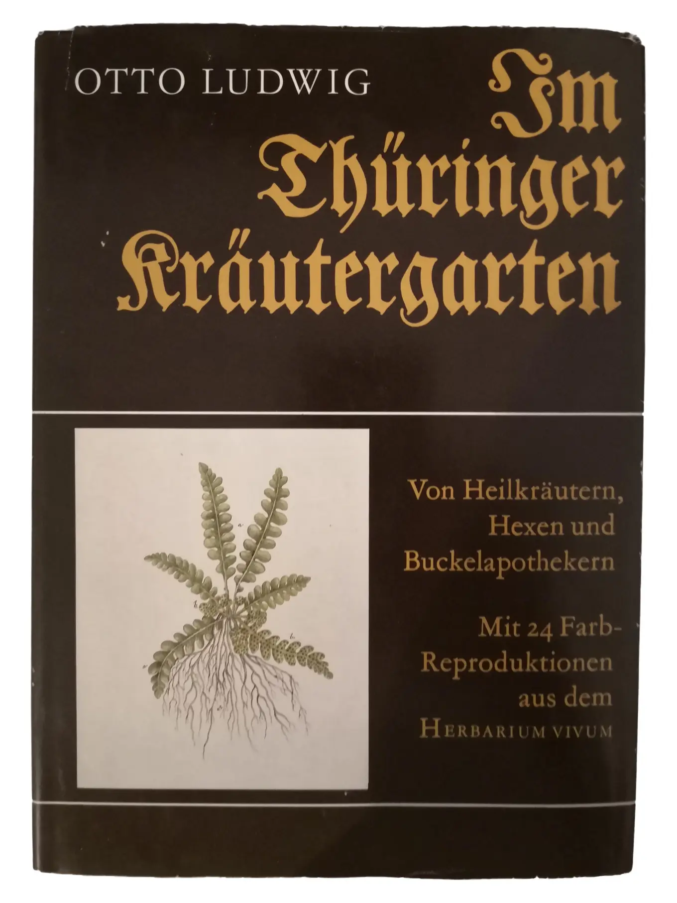 Otto Ludwig: Thüringer Kräutergarten Heilkräuter Hexen Magie Buch Hardcover