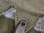 Vorschaubild 4 von Mädchen Schneestiefel Gr. 28 Braun Outdoor GORE-TEX warm gefüttert