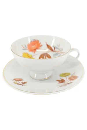 BAVARIA PORZELLAN Tasse und Unterteller