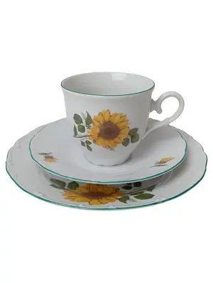 KARLSBADER Tasse und Unterteller