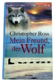 Vorschaubild Abenteuerroman 1