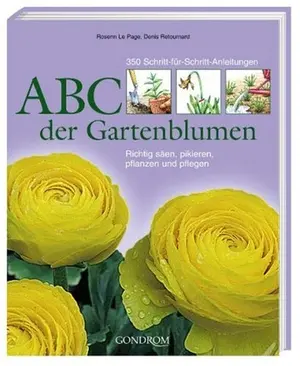 Hobbybuch