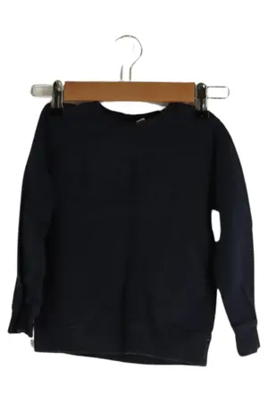 USPA Pullover