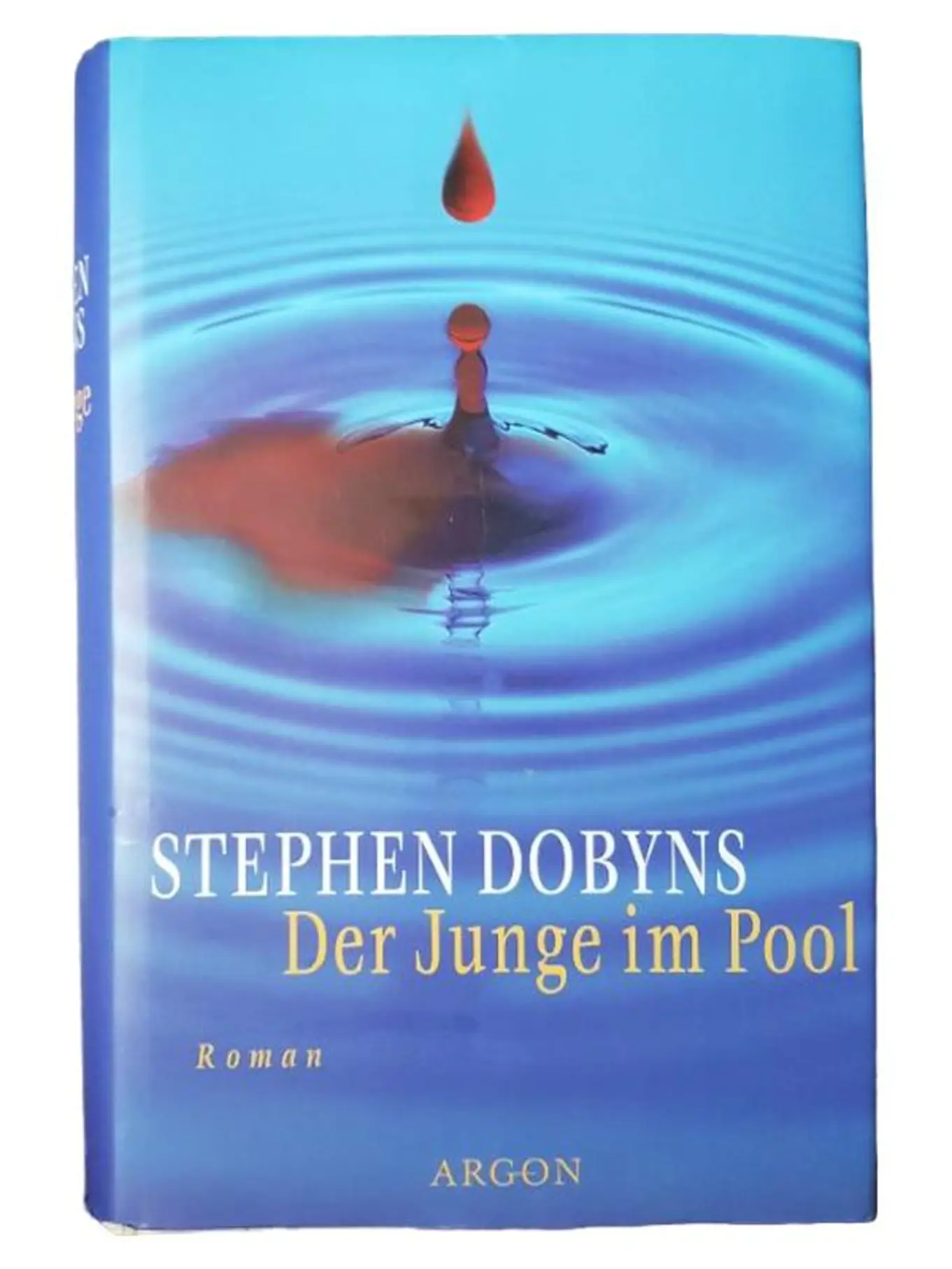 Stephen Dobyns Der Junge im Pool Roman Hardcover Familie Konflikte Deutsch