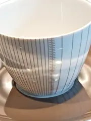Vorschaubild 2 von Thomas Tasse & Untertasse Porzellan Modern Geometrisch Gestreift Mehrfarbig