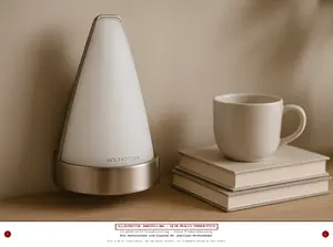 HOLTKÖTTER Wandleuchte