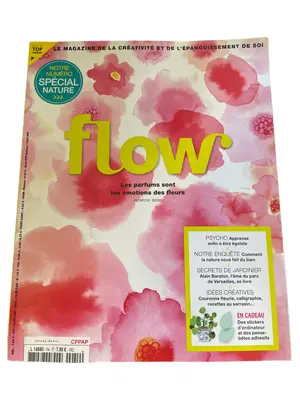 FLOW Zeitschrift
