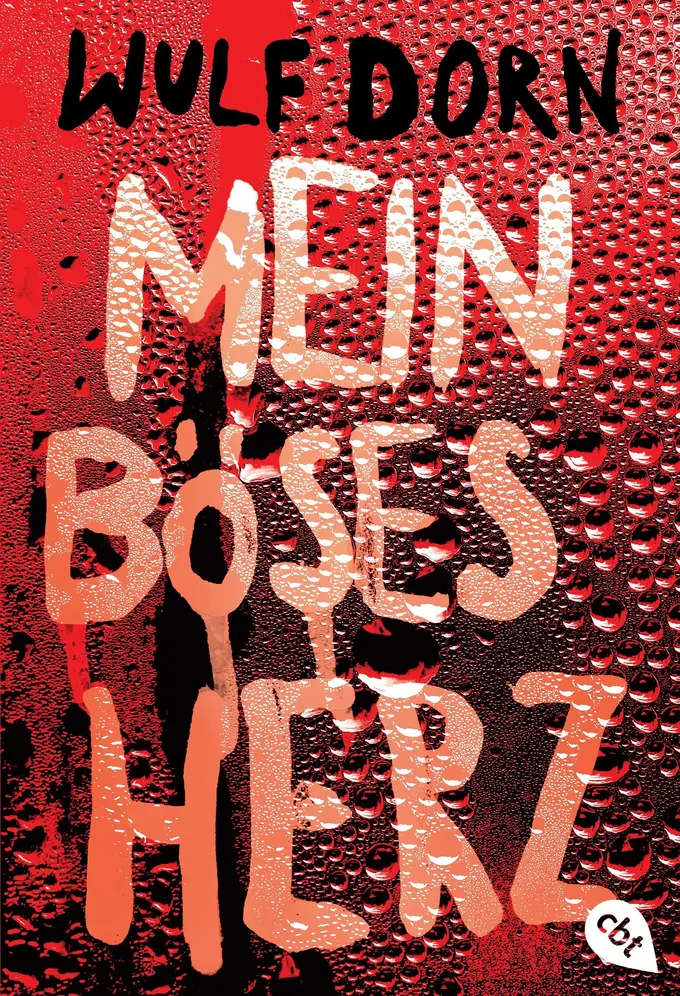 Buch für Jugendliche Bild 1