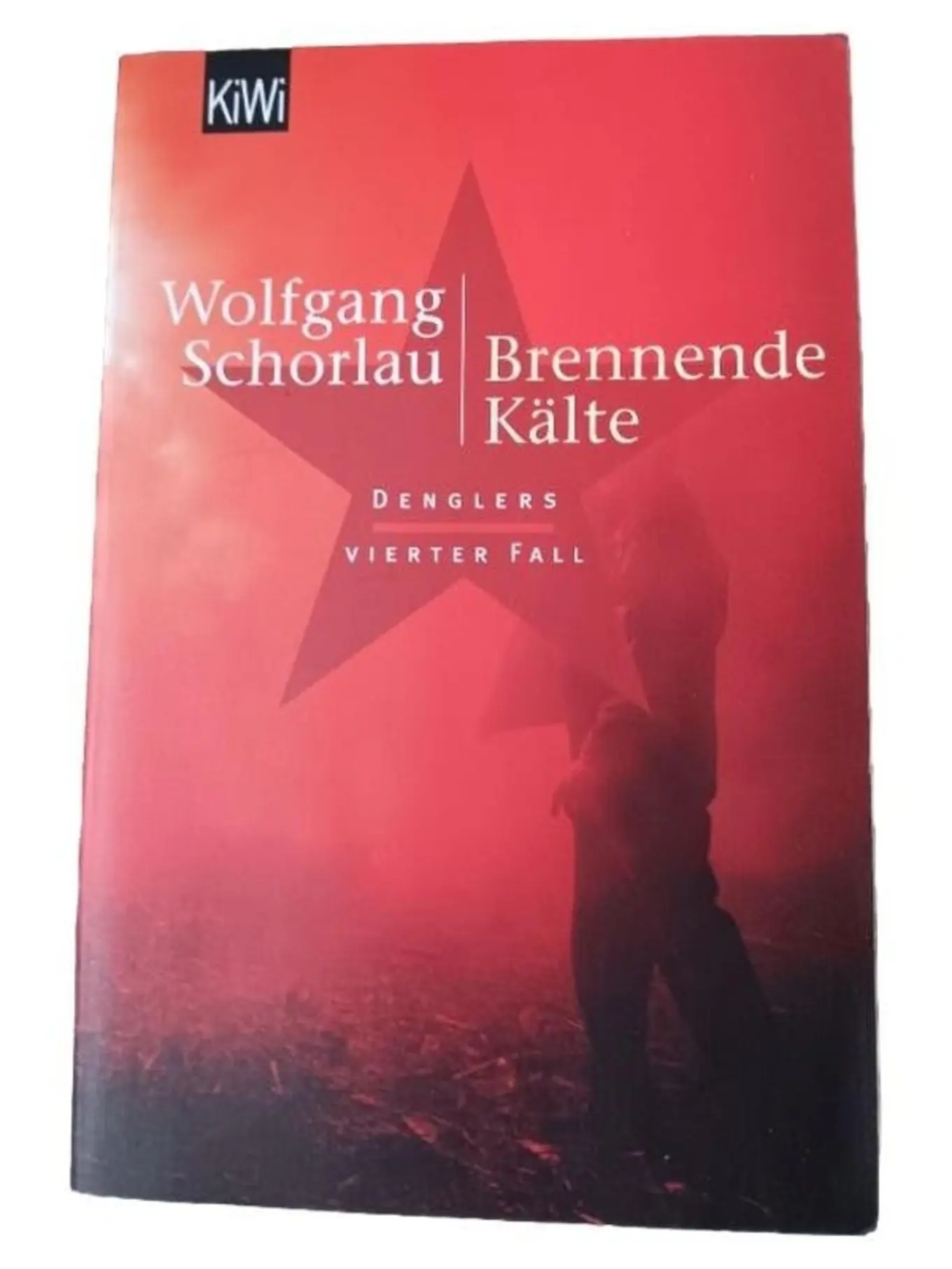 Brennende Kälte Wolfgang Schorlau Denglers vierter Fall Krimi Taschenbuch