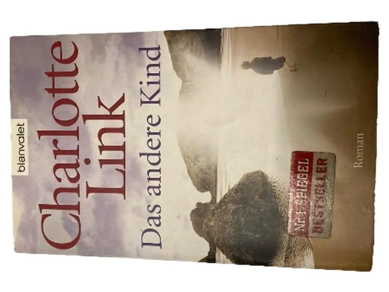 Charlotte Link Das andere Kind Psychothriller Taschenbuch Bestseller Deutsch