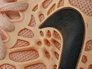 Vorschaubild 5 von Basketballschuhe Damen Gr. 37.5 Rosa Sportlich