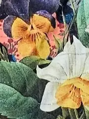 Vorschaubild 6 von Damen T-Shirt Gr. 40/L Blumenmuster Mehrfarbig Kurzarm
