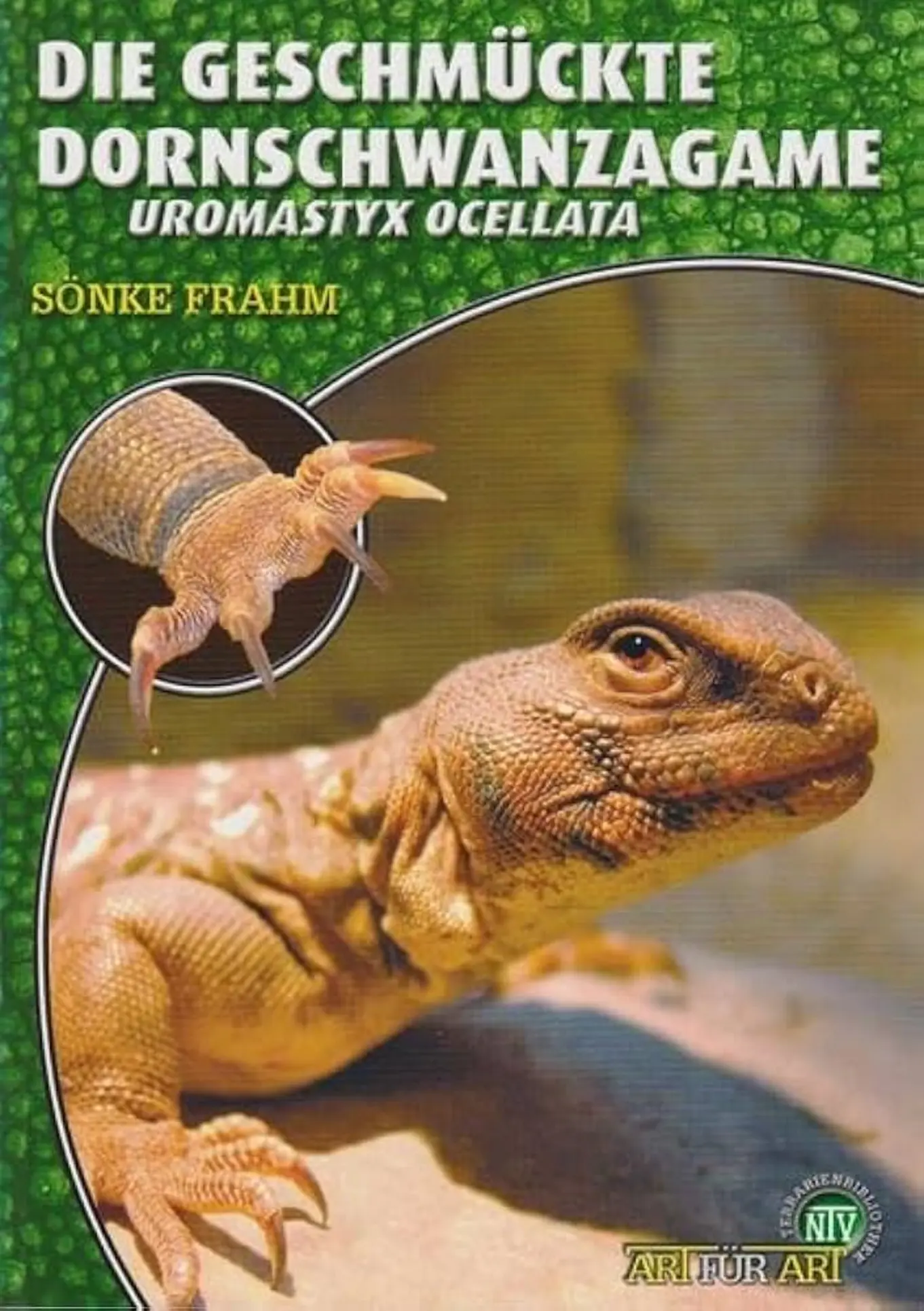 Sönke Frahm: Dornschwanzagame Uromastyx ocellata Fachbuch Haltung Pflege Zucht