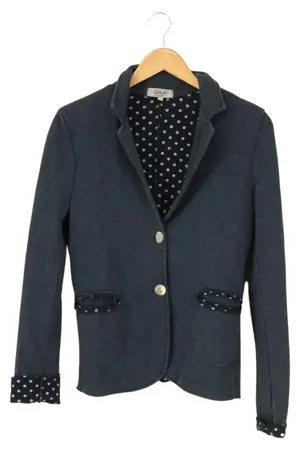 ISILK Blazer