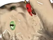 Vorschaubild 2 von Katze Porzellan Dekofigur Klassisch Mehrfarbig 8cm Tiermotiv