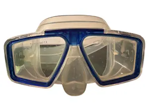 DELPHI TECHNOLOGIES Schwimmbrille