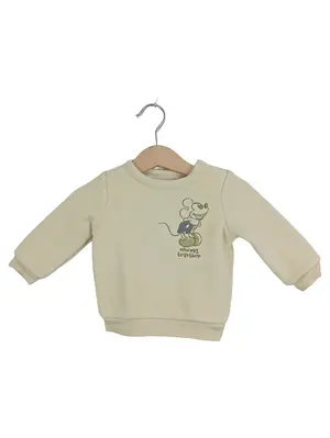 DISNEY Pullover