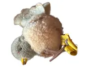 Vorschaubild 1 von Vogel Kuscheltier Mehrfarbig Klassisch 7 cm Plüschtier