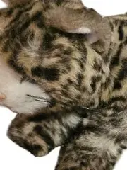 Vorschaubild 3 von Leopard Kuscheltier liegend naturgetreu braun 18cm