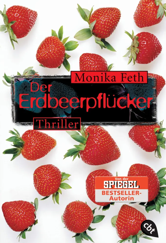 Thrillerbuch Bild 1