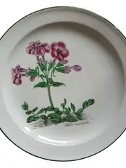 Vorschaubild 2 von Botanica Phlox crassifolia Wandteller Porzellan 20cm weiß