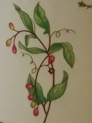 Vorschaubild 3 von EDEN Milchkännchen Porzellan Blumenmuster Mehrfarbig 7 cm