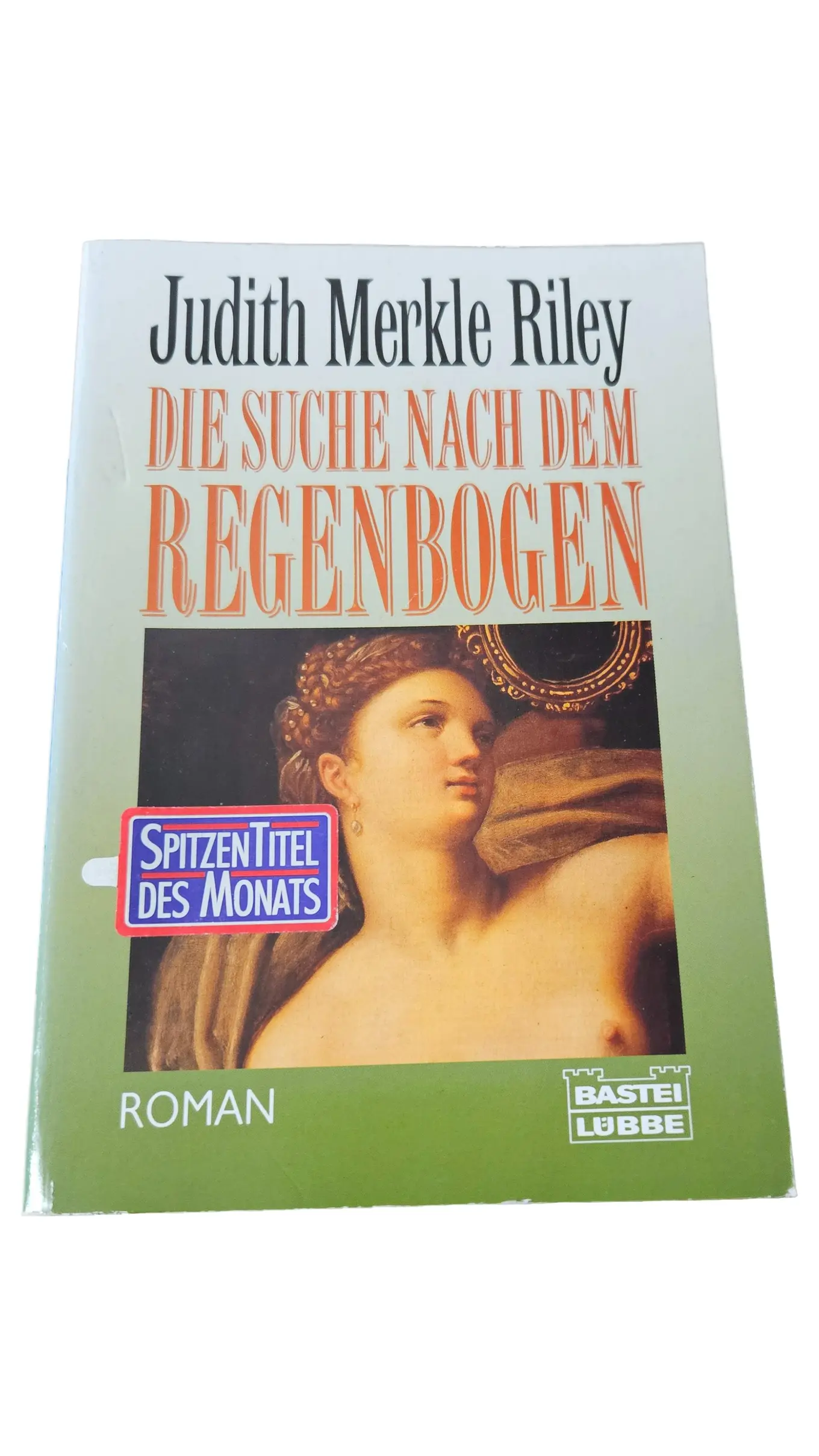 Judith Merkle Riley Die Suche nach dem Regenbogen Taschenbuch Jugendbuch