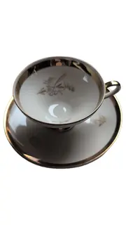 Vorschaubild WINTERLING Tasse und Unterteller 1