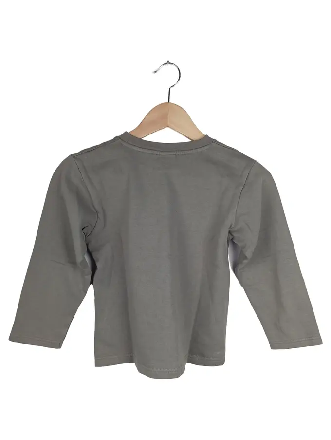 PHINEAS AND FERB Sweatshirt Bild 2