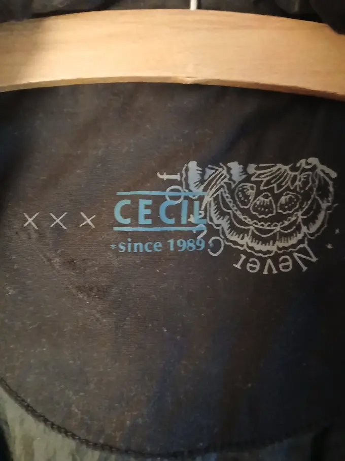 CECIL Steppweste Bild 2