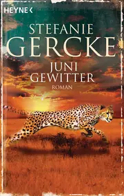 Vorschaubild Gesellschaftsroman 1