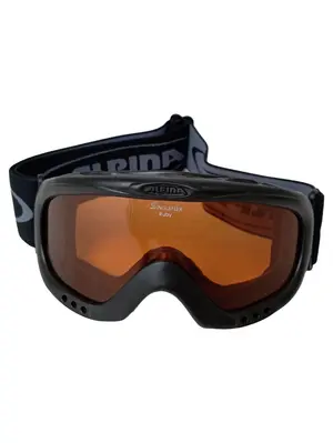 ALPINA Skibrille