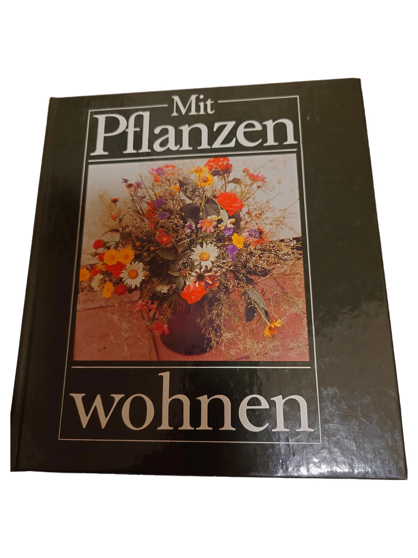 Mit Pflanzen wohnen Hardcover Buch Ratgeber Deko Pflege Zuhause