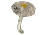 Vorschaubild 1 von Kristallschale SCS Wild Flower Blume Transparent Sammlerstück