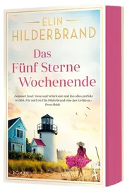 Vorschaubild Gesellschaftsroman 1