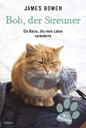 Allgemeines Sachbuch