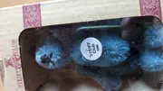 Vorschaubild 2 von Teddybär Club 1998 Kuscheltier Blau 10cm Sammlerstück
